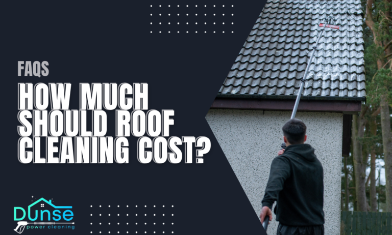 How Much Should Roof Cleaning Cost