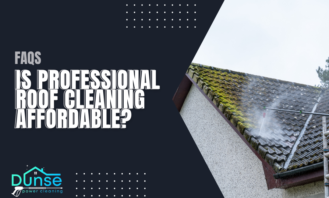 Is Professional Roof Cleaning Affordable?