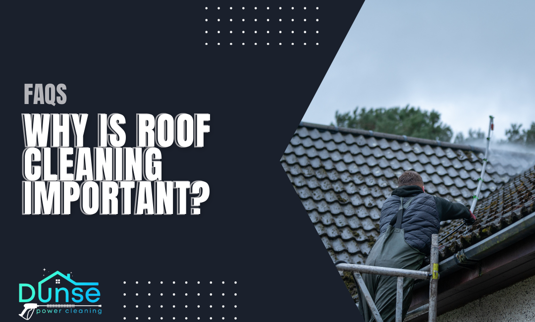 Why Is Roof Cleaning Important?